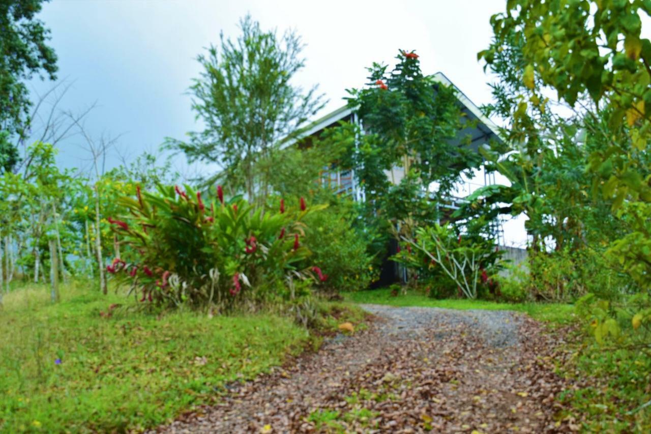 Hotel Rio Celeste Finca L' Etoile Celeste El Achiote Luaran gambar
